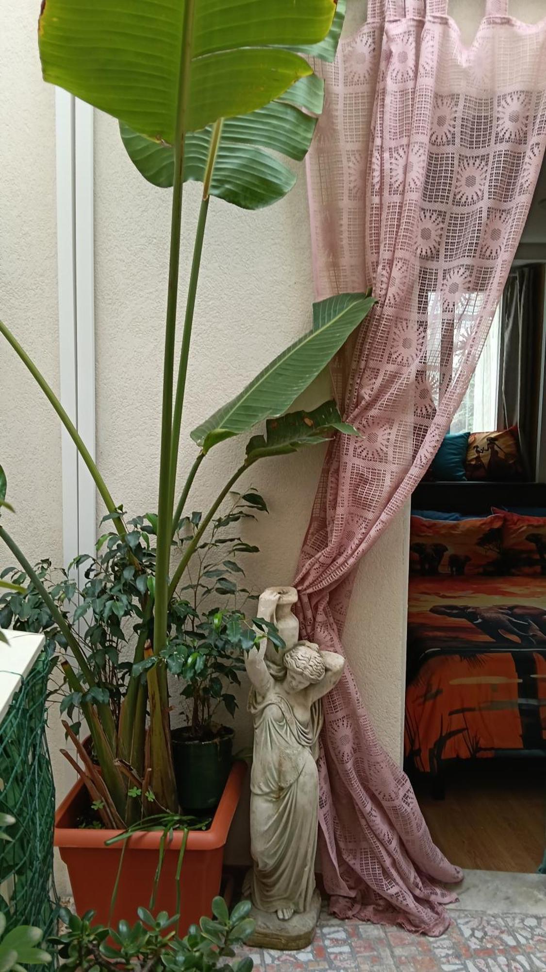 Very Smail House Augusta Dış mekan fotoğraf